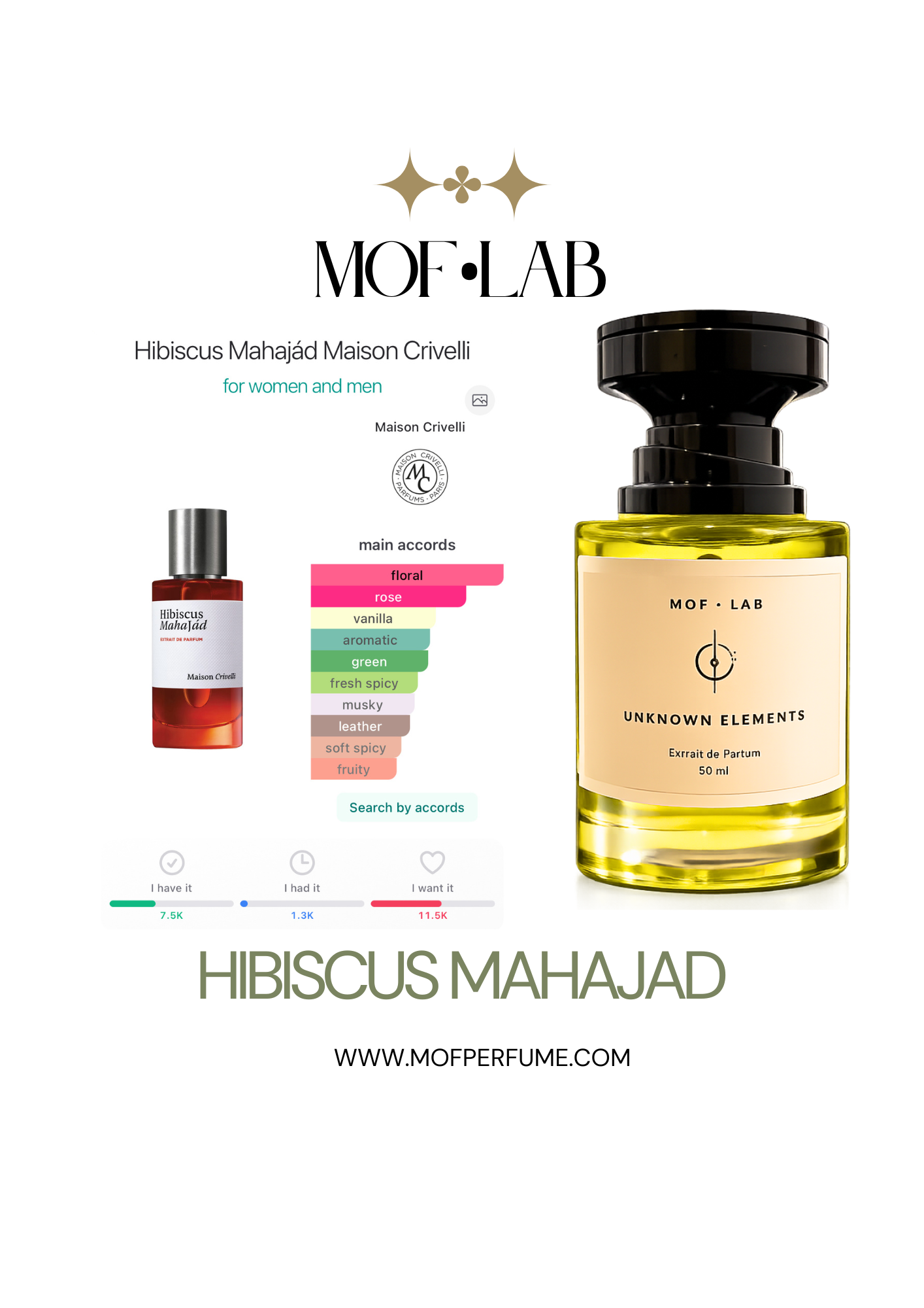 MOF - Los Hibiscus / inspired ny Hibiscus Mahajad