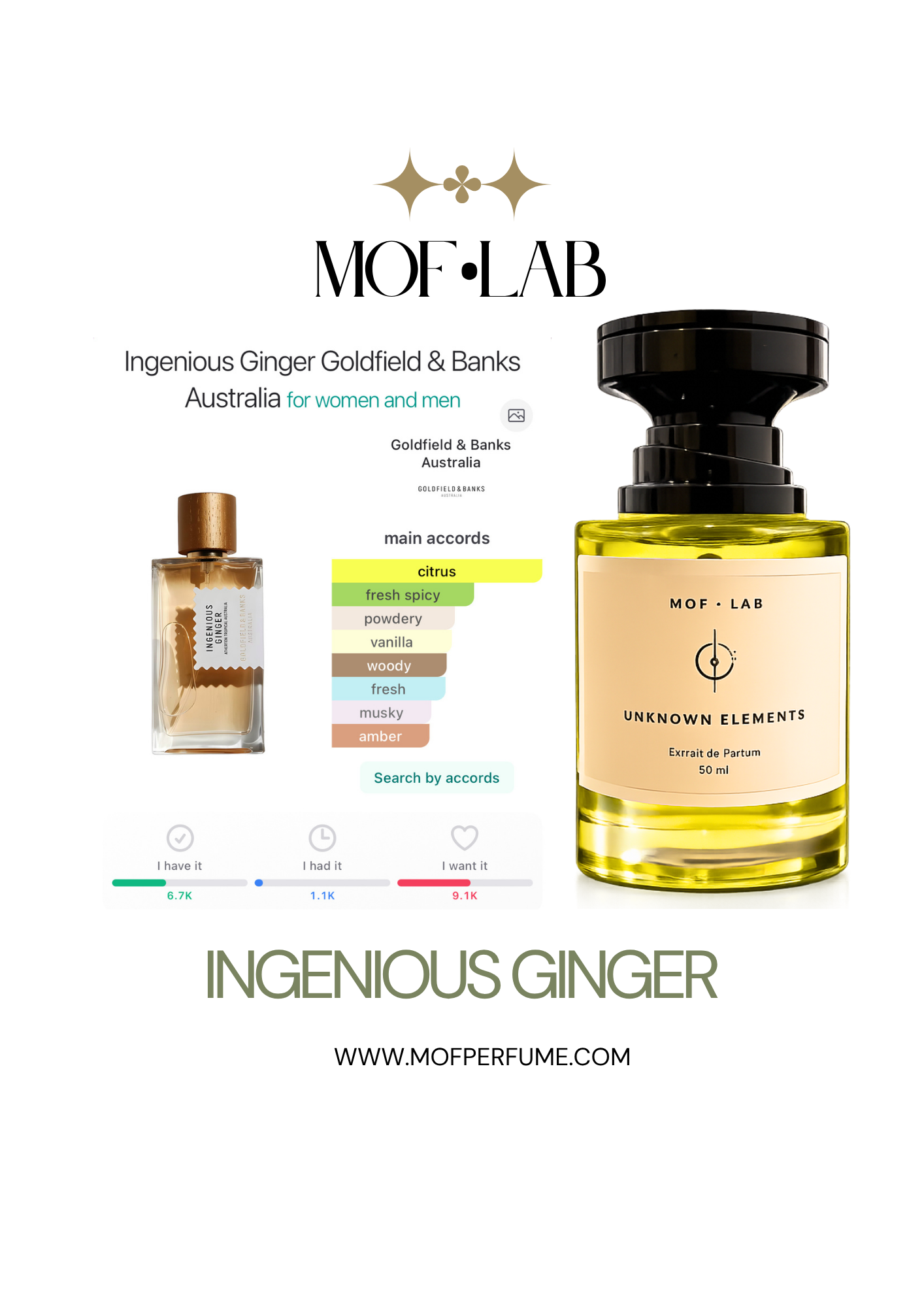 MOF - Nervous Ginger / inspired by ingenious ginger